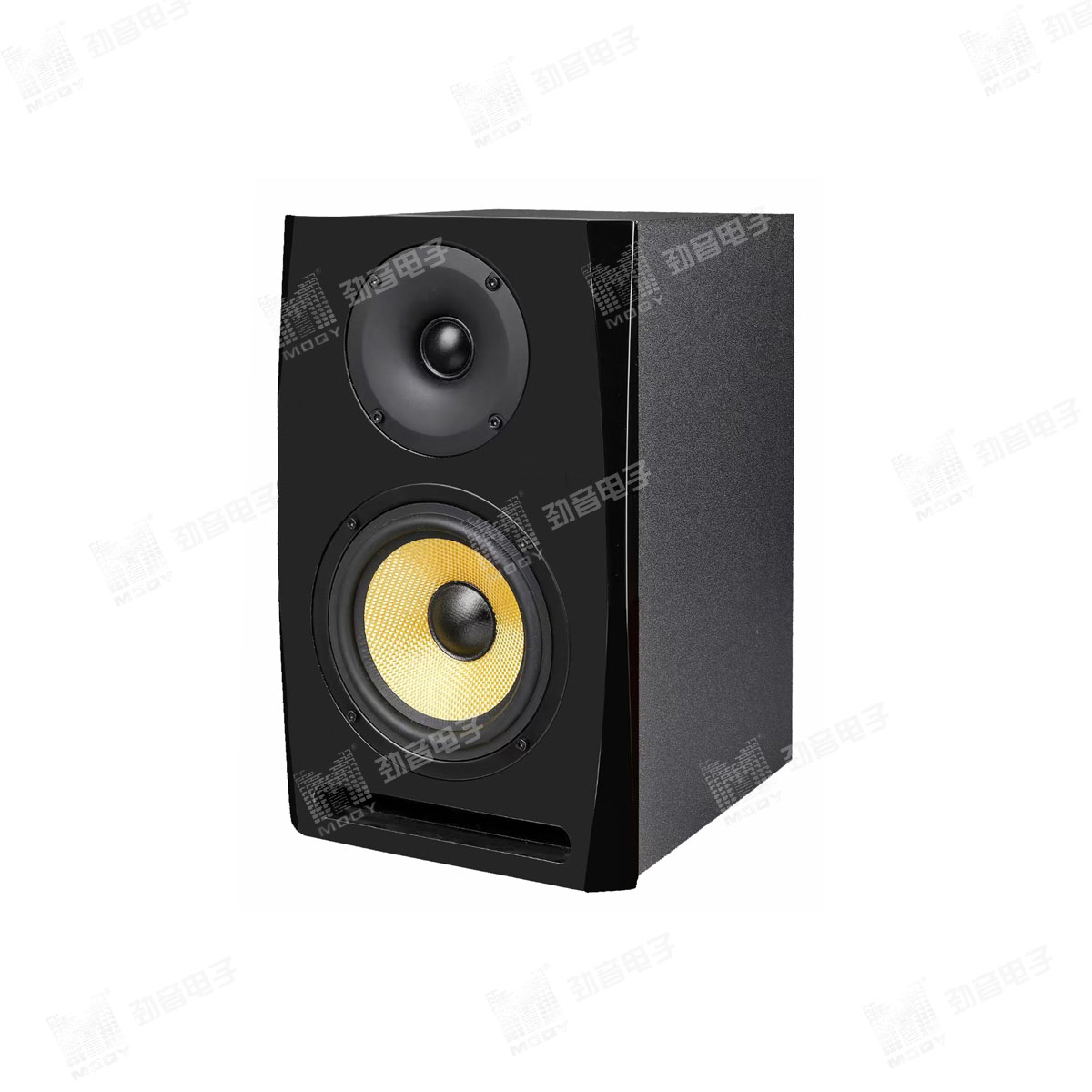 D-5 PROFESSIONAL ACTIVE MONITOR SYSTEM